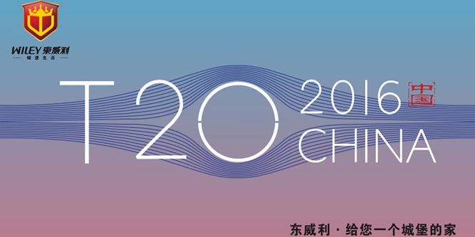 G20封场迎接东威利出席“T20”会议