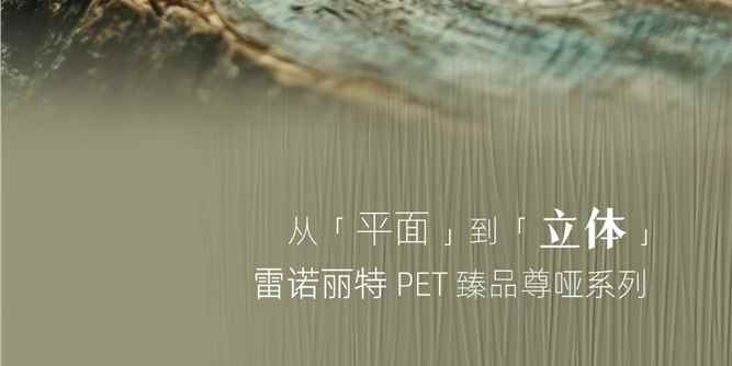 从「平面光泽」到「立体触感」：雷诺丽特PET饰面的创新体验