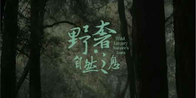 欧大师门窗 2025广州设计周设计师沙龙预告 | 奢野之间，探寻间度智慧