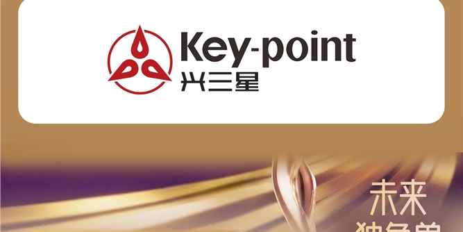 兴三星荣膺第七届FBC金轩奖双项大奖