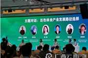 百色借东博会“集智聚力”发展优势产业